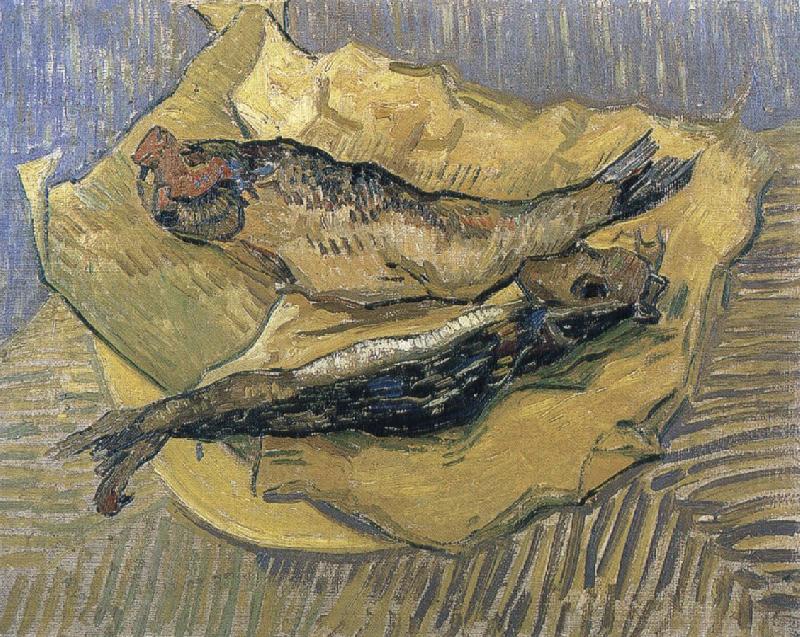 herrings, Vincent Van Gogh